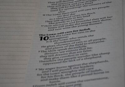 Tailor-made study systems
